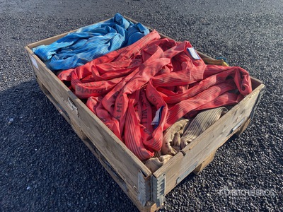 Palette of Hosting Belts Divers