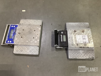 (4) Intercomp Scales