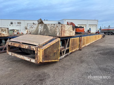 36 in x 65 ft Transfer Transportador
