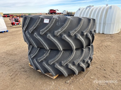 Firestone Radial All Traction DT 710/70R42 Tires