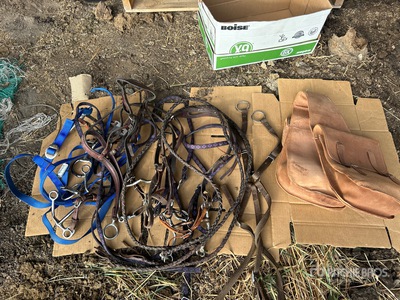 Quantity of Horse Bridals, Martingale, Saddle Bags