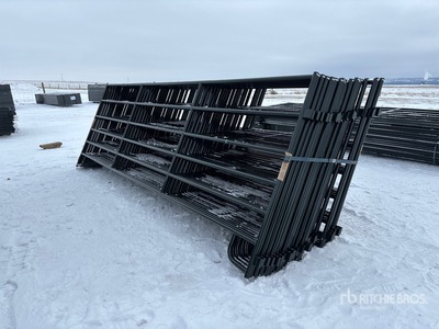 Quantity of (24) 2025 BYT PNL166 16 ft パネル (Unused)