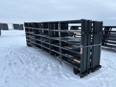 Quantity of (24) 2025 BYT PNL166 16 ft パネル (Unused)