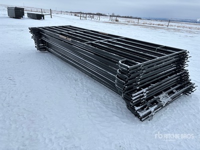 Quantity of (18) 2025 BYT PNL166 16 ft パネル (Unused)