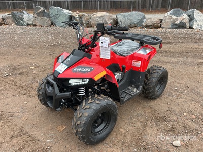 2021 Rival Mudhawk 4x2 ATV (Unused)