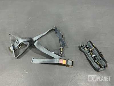 (716) AGM Container Controls CT2274 Webbing Straps