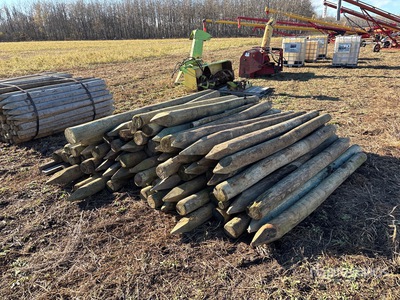 Approximately 75 8 ft x 6 in Fence Posts