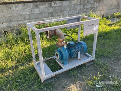 Flowserwe DL 13/2 Electric Water Pump