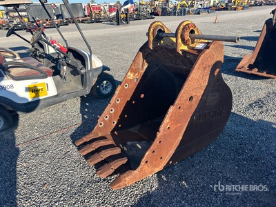 Cat 34 in Digging Excavator Bucket