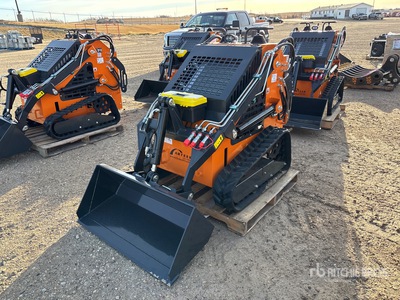 2025 ARTEER QB-480 Mini Oruga cargadora compacta (Unused)