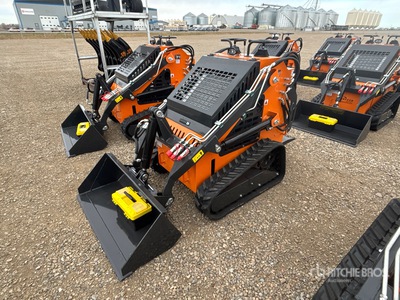 2025 ARTEER QB-480 Mini Oruga cargadora compacta (Unused)