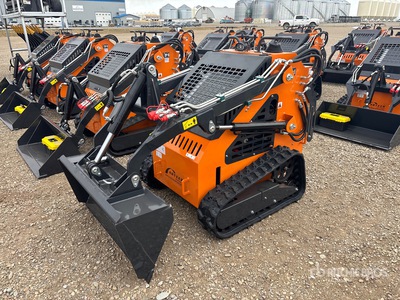 2025 ARTEER QB-480 Mini Oruga cargadora compacta (Unused)