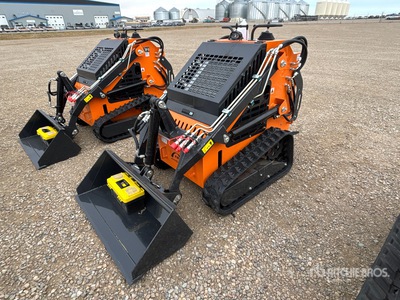 2025 ARTEER QB-480 Mini Oruga cargadora compacta (Unused)