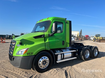 2019 Freightliner Cascadia 116 6x2 3-Achs Sattelzugmaschine