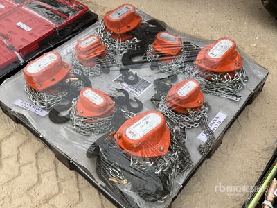 Quantity of (8) 2025 Chain Block ورش و مخازن متنوعة (Unused)