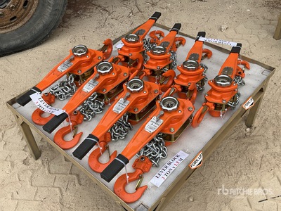 Quantity of (8) Lever Block ورش و مخازن متنوعة (Unused)