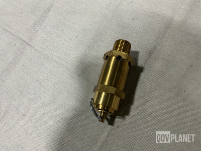 501617 Safety Relief Valve