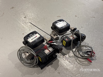 Quantity of (2) Fuel Pump