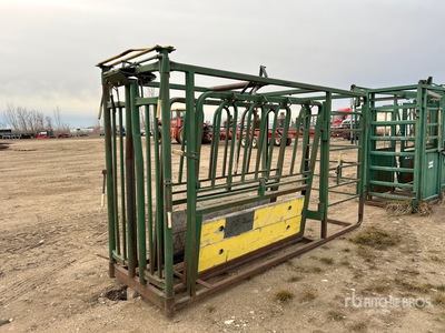 Mister Squeeze 10 ft 10 in Manga de compresión