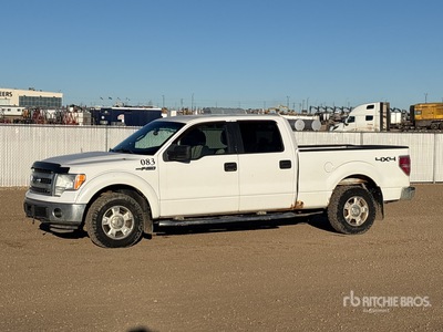 2014 Ford F-150 4x4 Crew Cab بيك اب