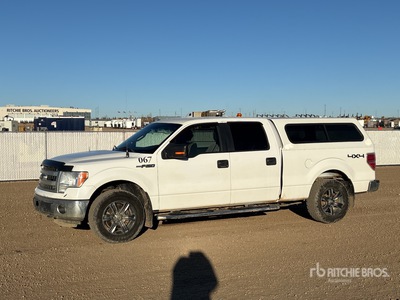 2014 Ford F-150 4x4 Crew Cab بيك اب