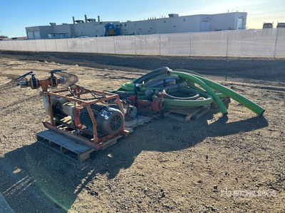 Quantity of (3) Electric Pompa per acqua