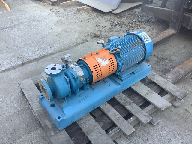 Goulds Pump Inc. Sealless Magnetic-Drive Chemical Process Pump