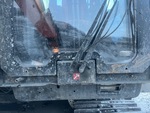 General Appearance with Paint