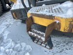 General Appearance with Steps/Ladders