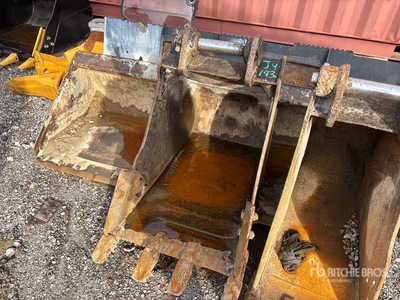 Cat 24 in Digging Excavator Bucket
