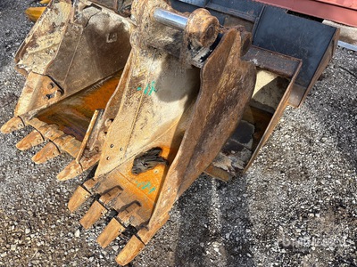 Cat 16 in Digging Excavator Bucket
