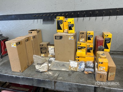 Quantity of Cat Filters