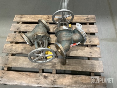 (2) Pima Valve 803-1385623 Y-Globe Valves