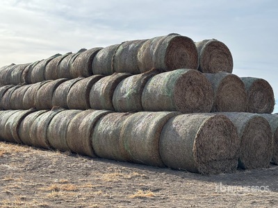 Quantity of (100) Pea Green Feed Bales