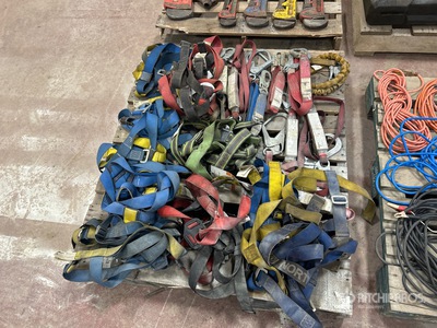 Quantity of Fall Protection Harnesses & Lanyards