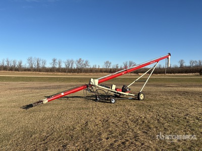 Buhler Farm King 846 8 in x 46 ft Barrena de grano