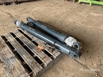 Quantity of (2) Hydraulic Cilindro