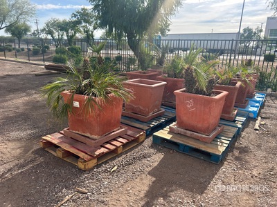 Quantity of (14) 24 in x 24 in Concrete Planters