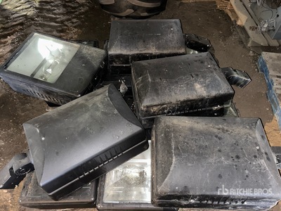 Quantity of (13) Yard lights Lighting Fixtures