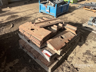 Quantity of Track Shoes