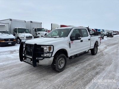 2019 Ford F-250 XL 4x4 Crew Cab بيك اب