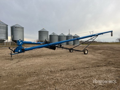 Brandt 1060 10 in x 60 ft Swing Barrena de grano