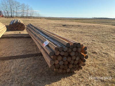 Quantity of 16 ft Fence Rails