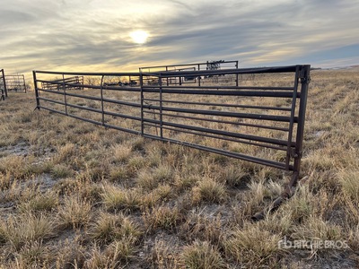 30 ft x Free Standing Viehzuchtgremium