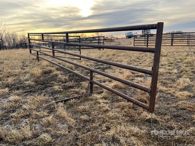 30 ft x Free Standing Viehzuchtgremium