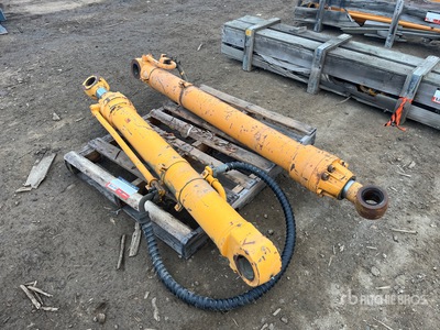 Quantity of (2) Hydraulic Cilindro