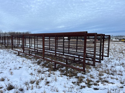 Quantity of (5) 24 ft x 4 ft Viehzuchtgremium