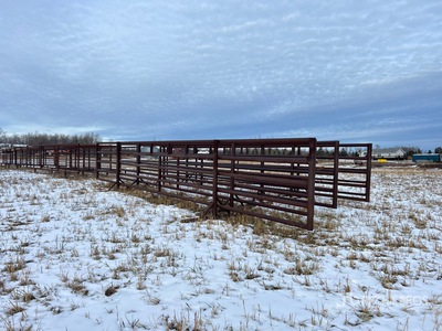 Quantity of (5) 30 ft x 4 ft Viehzuchtgremium