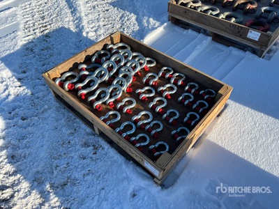 Quantity of (38) Schäkel