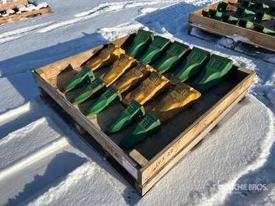 Quantity of (15) Bucket Teeth - Fits Excavator